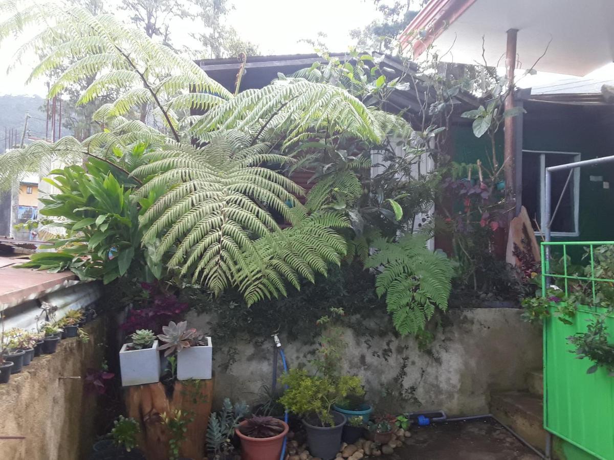 20/20 Wood Cabana Nuwara Eliya Exterior foto