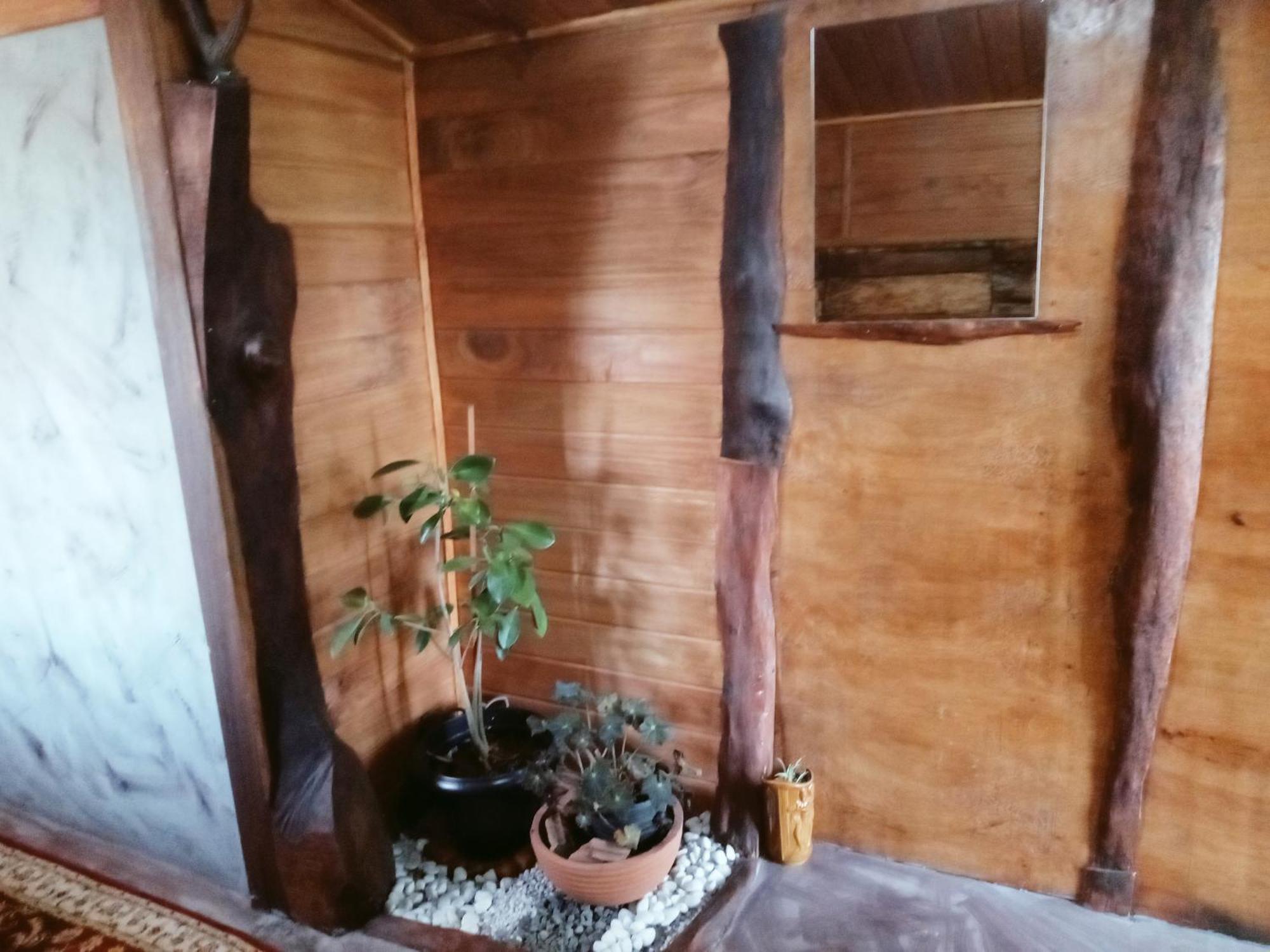 20/20 Wood Cabana Nuwara Eliya Zimmer foto