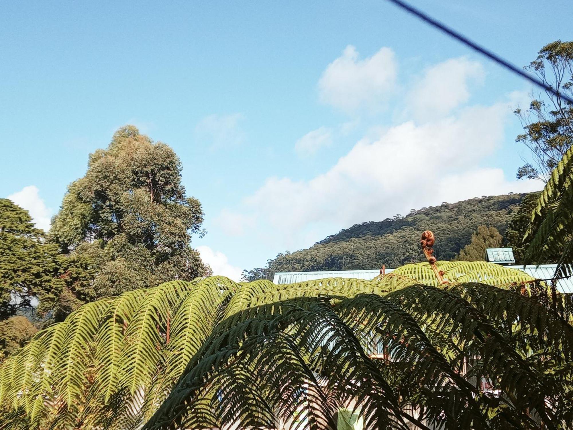 20/20 Wood Cabana Nuwara Eliya Zimmer foto